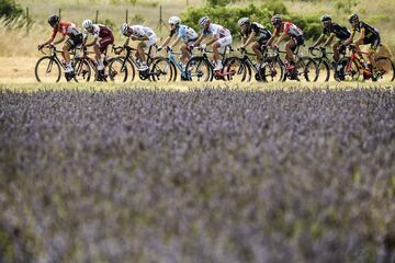 Tony Gallopin, Robert Kiserlovski, Pierre-Luc Perichon, Jan Bakelants, Rudy Molard, Edvald Boasson Hagen, Thomas De Gendt, Daniele Bennati y Romain Sicard durante la 19ª etapa del Tour de Francia 2017.