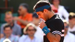 Del Potro 3 -0 Ramos: resumen y resultado, Roland Garros 2018