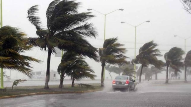 Ciclón Tropical Alvin: Alerta máxima en México por fuertes lluvias en Guerrero, Oaxaca y Michoacán