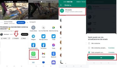 Cómo añadir un vídeo de YouTube a tus estados de WhatsApp