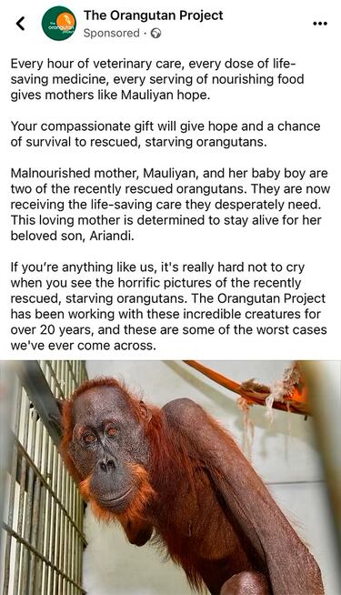 El test rápido e indiscutible para detectar si tu móvil realmente te escucha