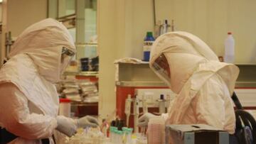 Coronavirus en Argentina: consiguen descifrar el genoma del Covid-19