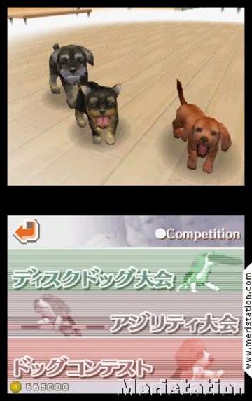 Captura de pantalla - nintendogs_03.jpg