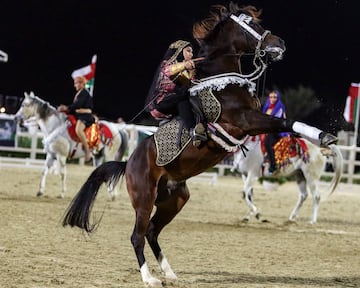 El Campeonato de caballos árabes de Omán en imágenes