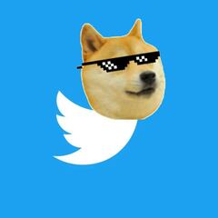 What are Dogecoin investors accusing Elon Musk of?