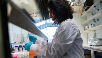 Zeynep Cetecioglu Gurol, associate professor at KTH Royal Institute of Technology, works in a lab using a centrifuge to separate out wastewater so that it could be tested, on October 19, 2020 in Stockholm, during the ongoing novel coronavirus (Covid-19) pandemic. - Researchers have been testing wastewater from three facilities in Stockholm since mid-April after studies showed that remnants of the novel coronavirus could be detected in sewage water. The sewage water testing could help provide important insights into the spread and prevalence of the disease without the need for expensive widespread individual tests. (Photo by Jonathan NACKSTRAND / AFP)