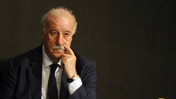 Del Bosque: "If I was at a club, I wouldn't have signed Neymar"