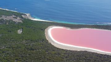 Beautiful but toxic: The extreme ecosystem behind Australia’s pink lakes