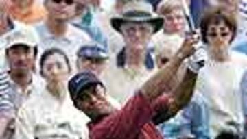 Tiger apoya a las mujeres.