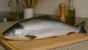 Salmon in kitchen