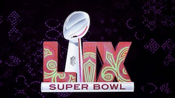 Where is Super Bowl 2025?