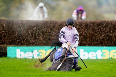 El caballo Ile De Jersey, montado por James Bowen, sufrió una aparatosa caída durante el desarrollo de The
Invest Southwest Novices en el hipódromo de Taunton (Inglaterra). Por el ángulo con el que ha sido tomada la fotografía parece que la tierra se está tragando al equino, pero no, el animal no sufrió males mayores.