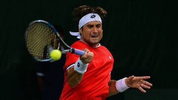 David Ferrer enfrentando a India. 