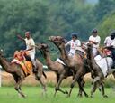 Carrera de Dromedarios