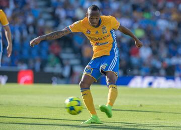 Tigres - Perú