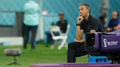 Luis Enrique, a salir de la linde de Brasil 2014 y Rusia 2018