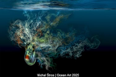 Categoría: Arte digital submarino