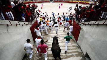 Los toros de la ganader&iacute;a gaditana de N&uacute;&ntilde;ez del Cuvillo entran a la Plaza de Toros de Pamplona en el s&eacute;ptimo encierro de los Sanfermines 2017.