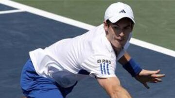 <b>Andy Murray</b>.