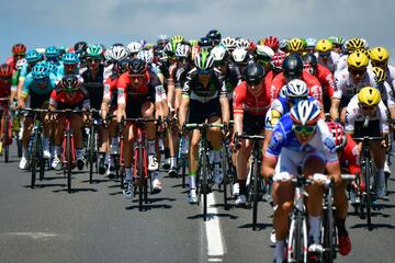 The pack rides during the 207,5 km fourth stage of the 104th edition of the Tour de France cycling race on July 4, 2017 between Mondorf-les-Bains and Vittel. / AFP PHOTO / PHILIPPE LOPEZ