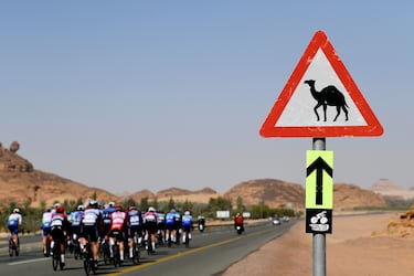 En medio del ardiente desierto de Harrat Uwayrid, la señal triangular que advierte sobre camellos añade un toque inesperado al paso del pelotón.