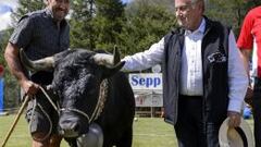 Blatter recibe una vaca de regalo en torneo benéfico en Suiza