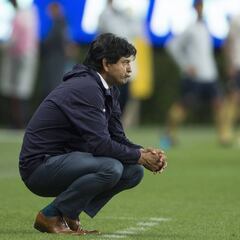 Los expertos celebran el sábado capitalino