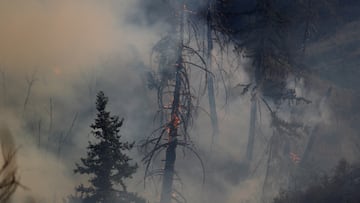 Los residentes de Los Angeles están nerviosos debido a una serie de incendios en callejones y comercios en diferentes áreas de la ciudad.