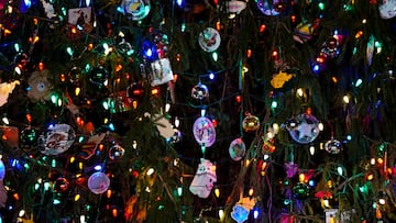 Ornaments adorn the U.S. Capitol Christmas tree at the U.S. Capitol in Washington, U.S., November 28, 2023. REUTERS/Elizabeth Frantz