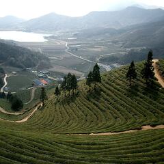 Kwichon: por qué en Corea del Sur se están mudando al campo