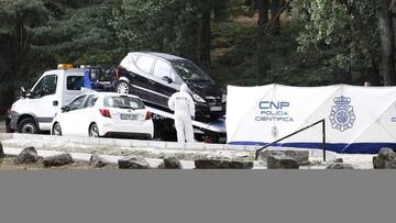Una grúa de la Policía se lleva el coche de Blanca Fernández Ochoa del aparcamiento del Parque Natural de Las Dehesas, en Cercedilla.