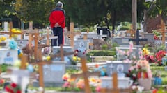 Nuevo récord de fallecidos en un solo día con 557 víctimas