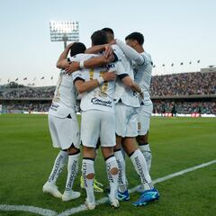 Pumas vs Xolos: Horario, TV, canal, cómo y dónde ver la Jornada 11 del Clausura 2024 de la Liga MX