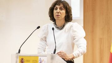 El CSD intentar¨¢ dar respuesta a las necesidades del deporte en tiempos de confinamiento