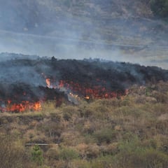 La lava de La Palma llega al mar: qué consecuencias tiene en el ecosistema