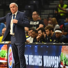 Alarma en el Fenerbahçe: llegará en cuadro a la Final Four