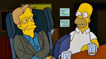 homer simpson los simpson stephen hawking