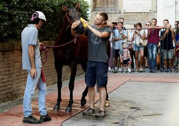 El Palio de Siena (Palio di Siena) es una carrera de caballos de origen medieval que enfrenta a los distritos de la ciudad italiana dos veces al año. La primera del año se celebra el 2 de julio (Palio di Provenzano) y la segunda el 16 de agosto (Palio del