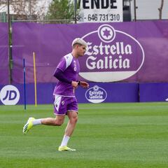 Garri mantiene su cotización