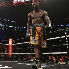 Wilder, a por Joshua: le ofrece 50 millones por adelantado