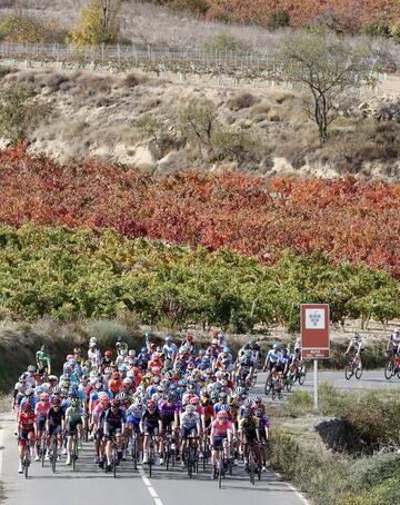 El pelotón durante la octava etapa de la Vuelta a España entre Logroño y Moncalvillo 

