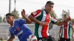 Palestino 2, U. de Chile 0, Campeonato Nacional: goles, resumen y resultado