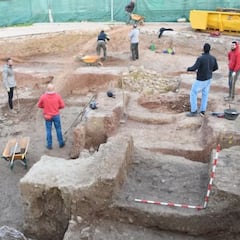 Hallazgo animal en España: arqueólogos se topan con un hueso que podría datar de la guerra de Aníbal contra Roma