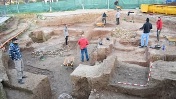 Hallazgo animal en España: arqueólogos se topan con un hueso que podría datar de la guerra de Aníbal contra Roma