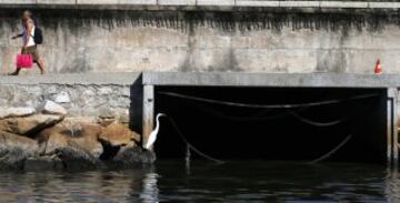 La ciudad de Río de Janeiro continúa recibiendo las críticas a nivel local y en el extranjero por el estado en el que se encuentran las aguas donde se  tiene previsto realizar las competiciones como la maratón de natación, vela y los eventos de triatlón de los Juegos Olímpicos de 2016. Sin tratamiento de aguas residuales y llenas basura las playas de Copacabana y la Bahía de Guanabara, se encuentran en un estado desastroso