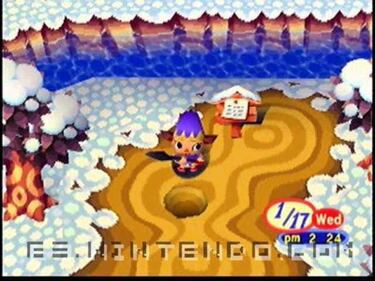 Animal Forest Plus (GameCube)