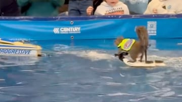 El imperdible video viral de las ardillas esquiadoras