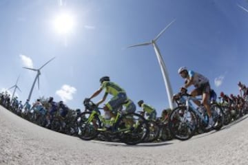 El pelotón durante la 18ª etapa de la Vuelta Ciclista a España 2016, con salida en Requena y meta en Gandía, sobre un recorrido de 200,6 kilómetros. 