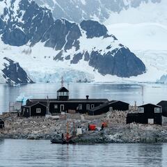 El peligroso hallazgo de una expedición chilena en la Antártica: “Está clamando para que hagamos algo”