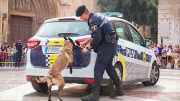 Un agente de policía juega con un perro en la clausura de los encuentros de Unidades Caninas de Policías Locales y de Unidades Caninas de Rescate de Bomberos, a 26 de octubre de 2022, en Valencia, Comunidad Valenciana (España). La Unidad Canina de Rescate (UCR) del Departamento de Bomberos del Ayuntamiento de València ha participado en más de un centenar de intervenciones en los últimos seis años, desde desapariciones, de menores hasta ancianos con Alzheimer o derrumbes de edificaciones.
26 OCTUBRE 2022;VALENCIA;CLAUSURA UNIDADES CANINAS;POLICÍAS LOCALES;PIXELADA
Jorge Gil / Europa Press
26/10/2022